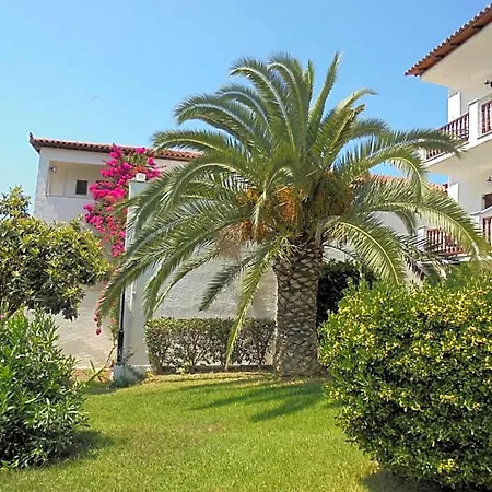 Paradise Skiathos